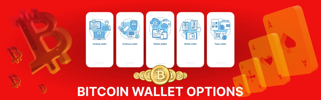 Bitcoin wallet options
