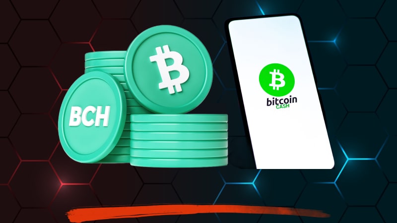 List of Bitcoin Cash casinos